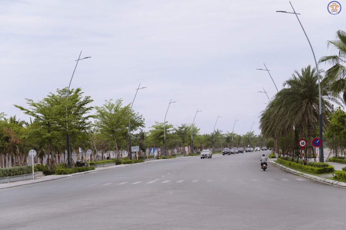 Hình ảnh 8